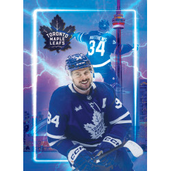 Carte personnalisée FAN EDITION – Maillot & star de l’équipe